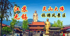 美女白虎3d网站江苏无锡灵山大佛旅游风景区
