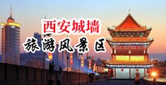 国内大黄片美女操逼中国陕西-西安城墙旅游风景区